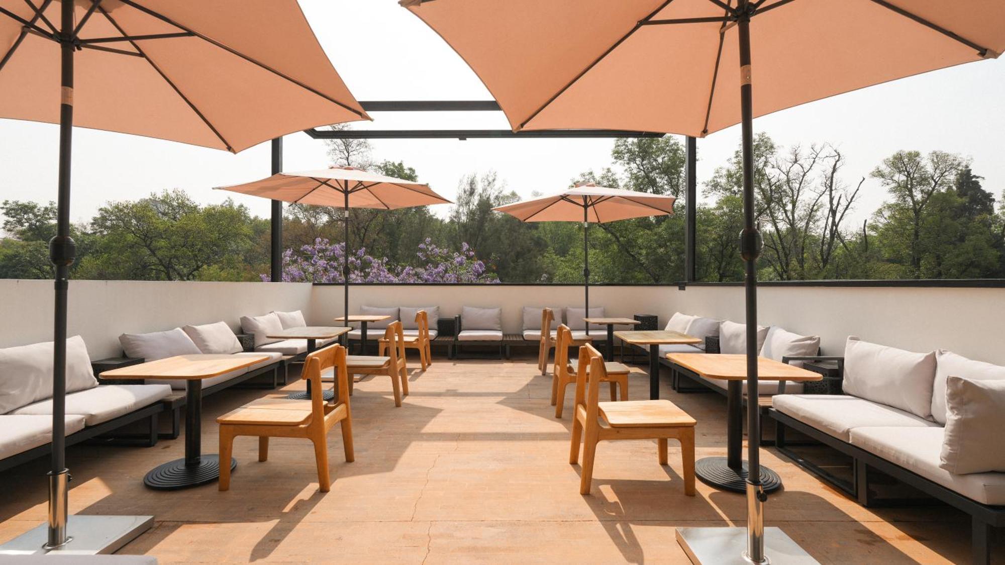 Rodona Hotel México DF Exterior foto